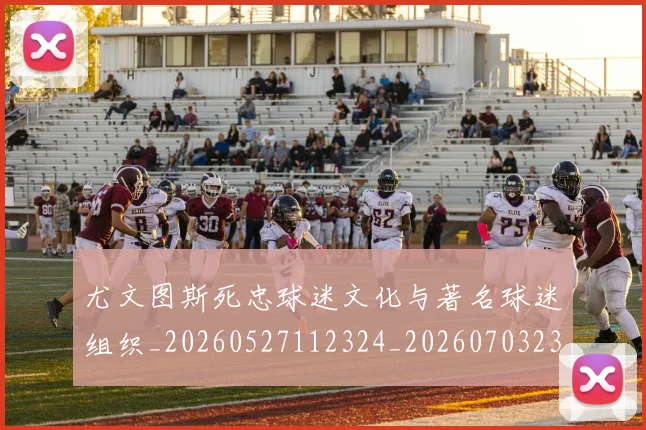 尤文图斯死忠球迷文化与著名球迷组织_20260527112324_20260703233947_20260722151606