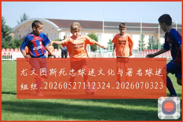 尤文图斯死忠球迷文化与著名球迷组织_20260527112324_20260703233947_20260722151606